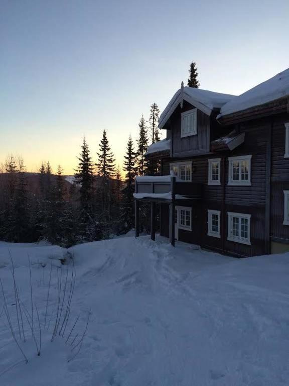 Flat In Trysil Ski In Ski Out And Sauna Exteriör bild